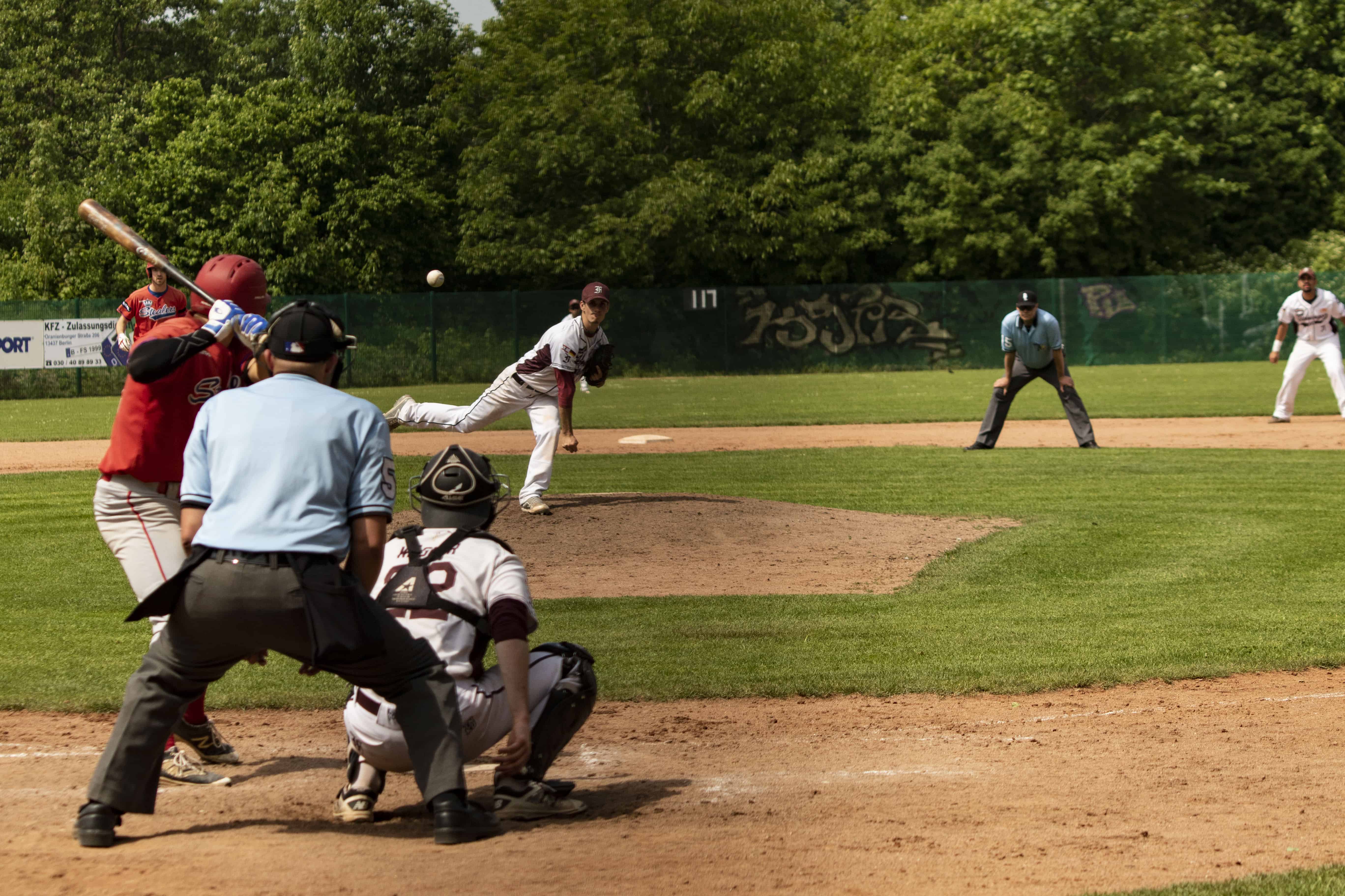 Baseball bei den Flamingos