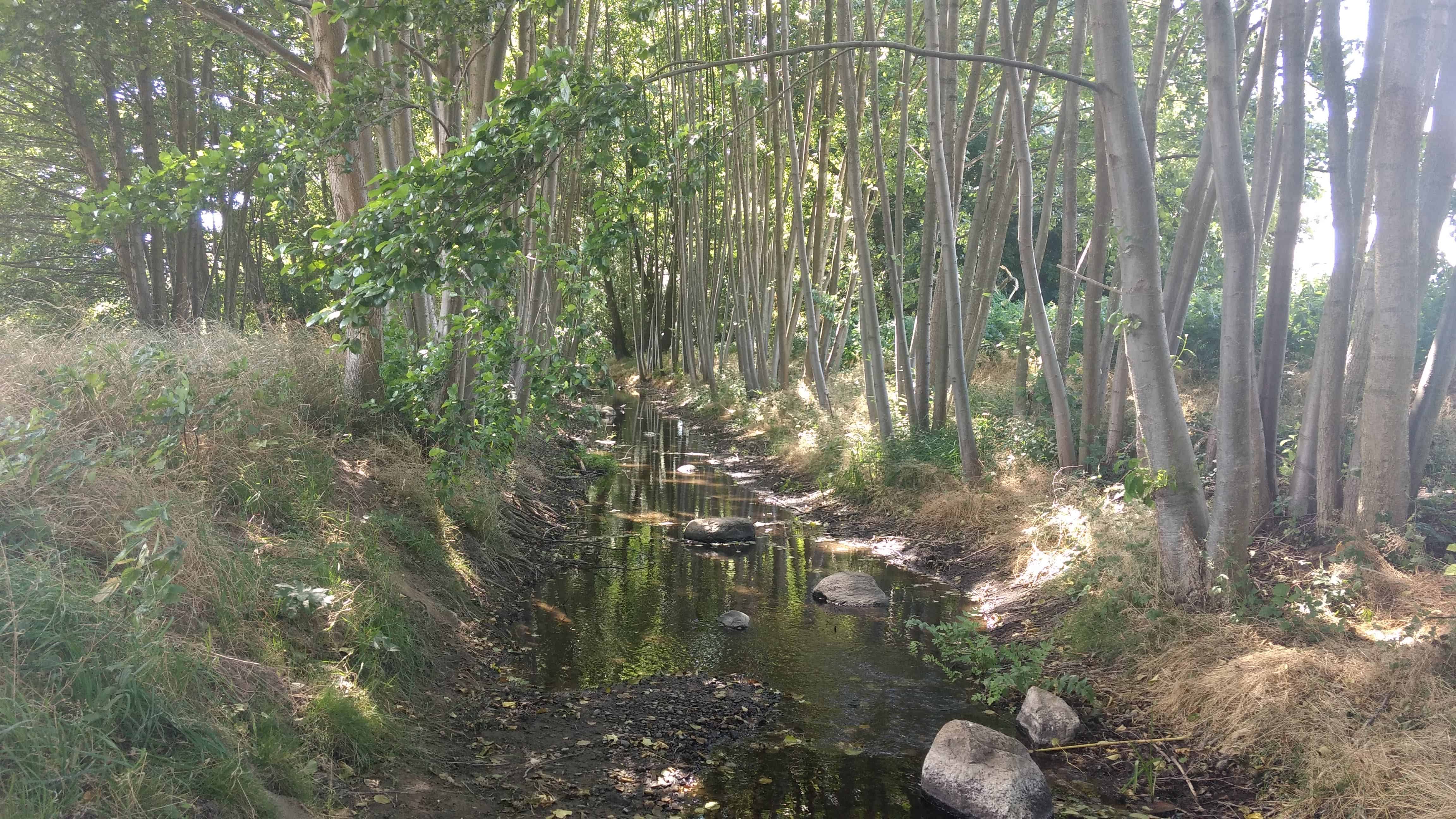 Lurchgraben